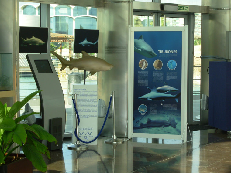 Fotografía Exposición Enamorados del Mar L'Oceanogràfic