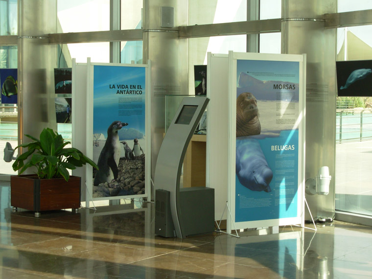 Fotografía Exposición Enamorados del Mar L'Oceanogràfic