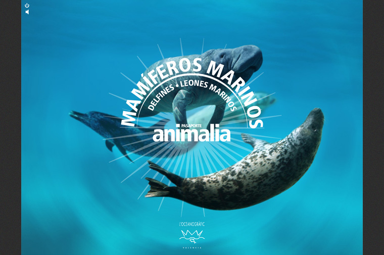 Captura Cd Interactivo Pasaporte Animalia L'Oceanogràfic