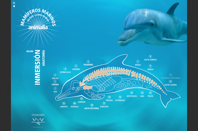 Captura Cd Interactivo Pasaporte Animalia L'Oceanogràfic