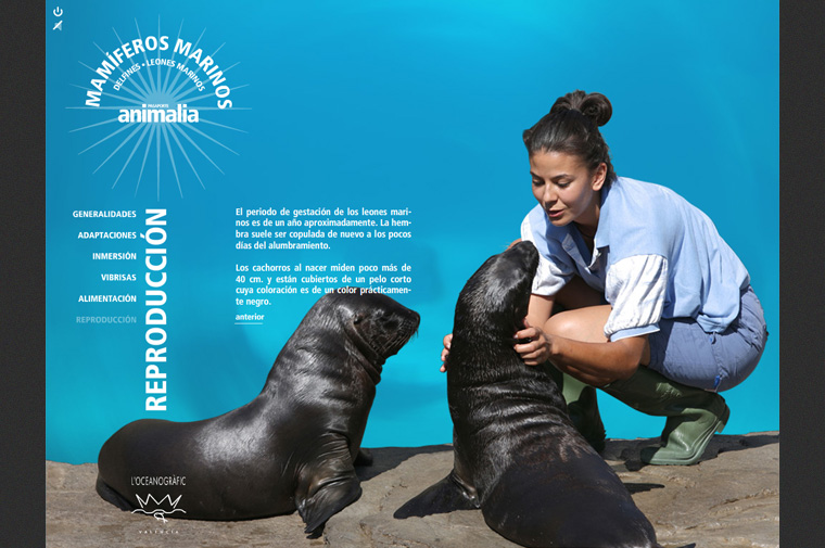 Captura Cd Interactivo Pasaporte Animalia L'Oceanogràfic