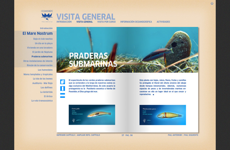 Captura Guía Pedagógica L'Oceanogràfic