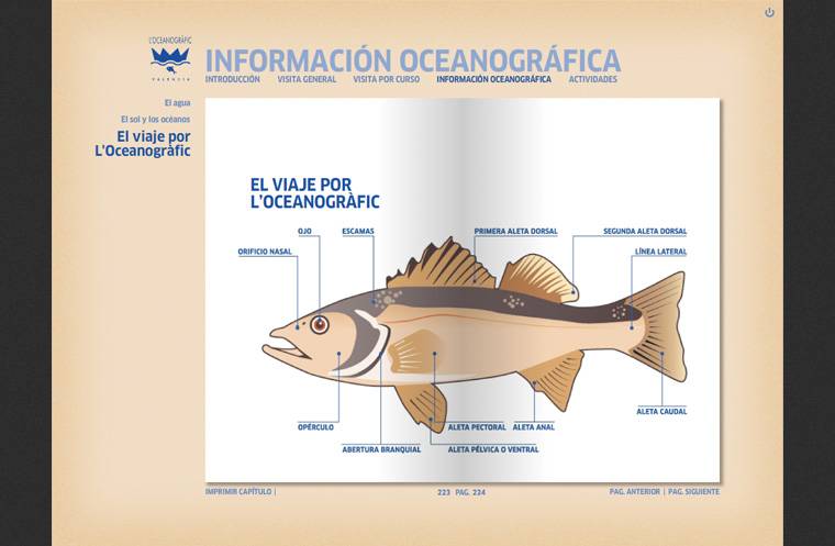 Captura Guía Pedagógica L'Oceanogràfic