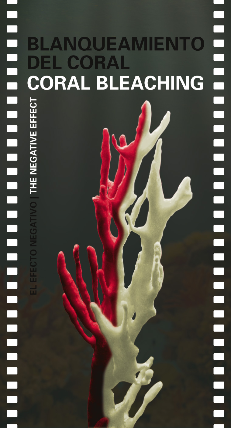 Cartelería Concienciación Finning L'Oceanogràfic