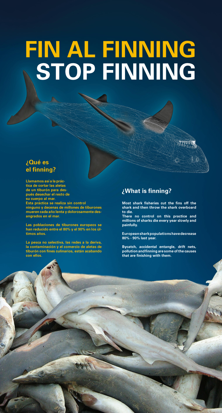Cartelería Concienciación Finning L'Oceanogràfic