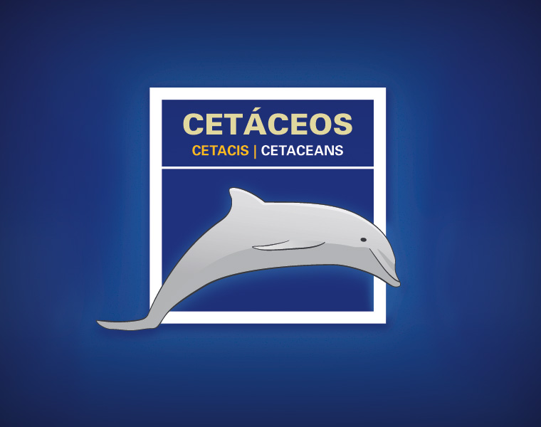 Detalle Cartel Mamíferos Marinos L'Oceanogràfic