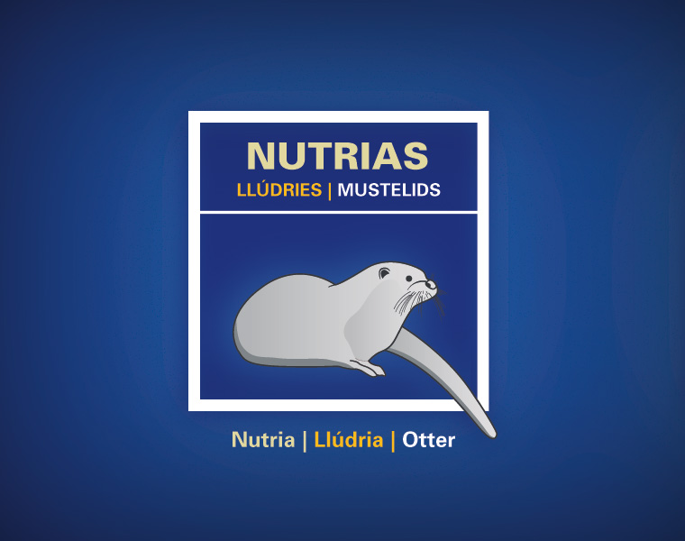 Detalle Cartel Mamíferos Marinos L'Oceanogràfic