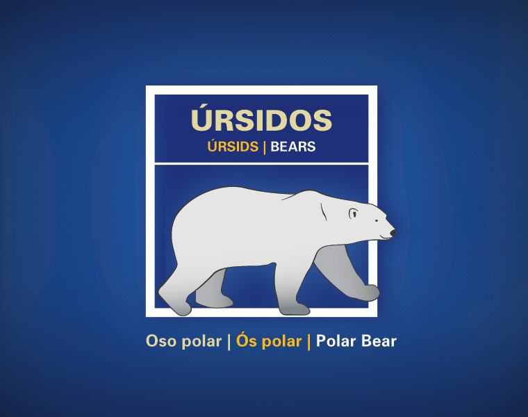 Detalle Cartel Mamíferos Marinos L'Oceanogràfic