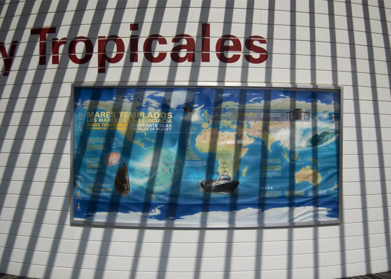 Infografía Mares Templados. L'Oceanogràfic.