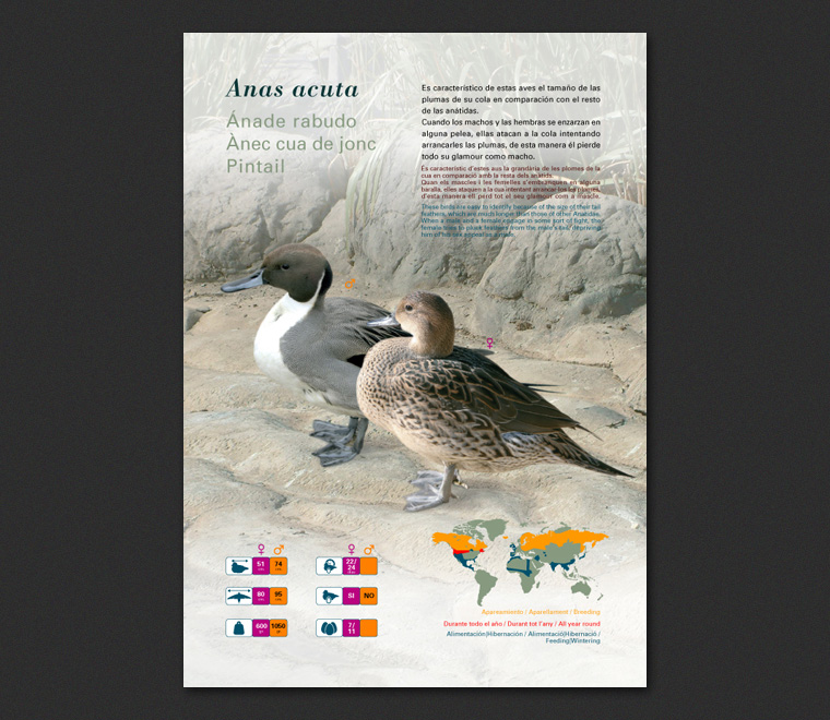 Fichas Especies L'Oceanogràfic