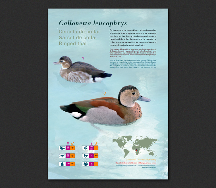 Fichas Especies L'Oceanogràfic