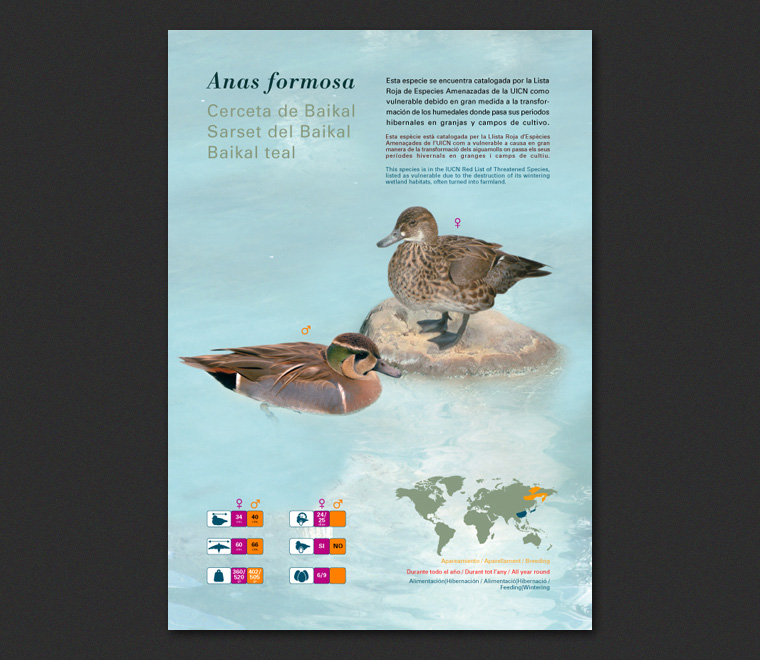 Fichas Especies L'Oceanogràfic