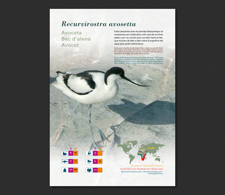 Fichas Especies L'Oceanogràfic