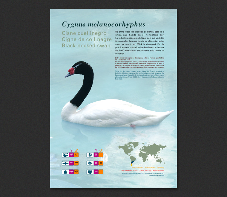 Fichas Especies L'Oceanogràfic