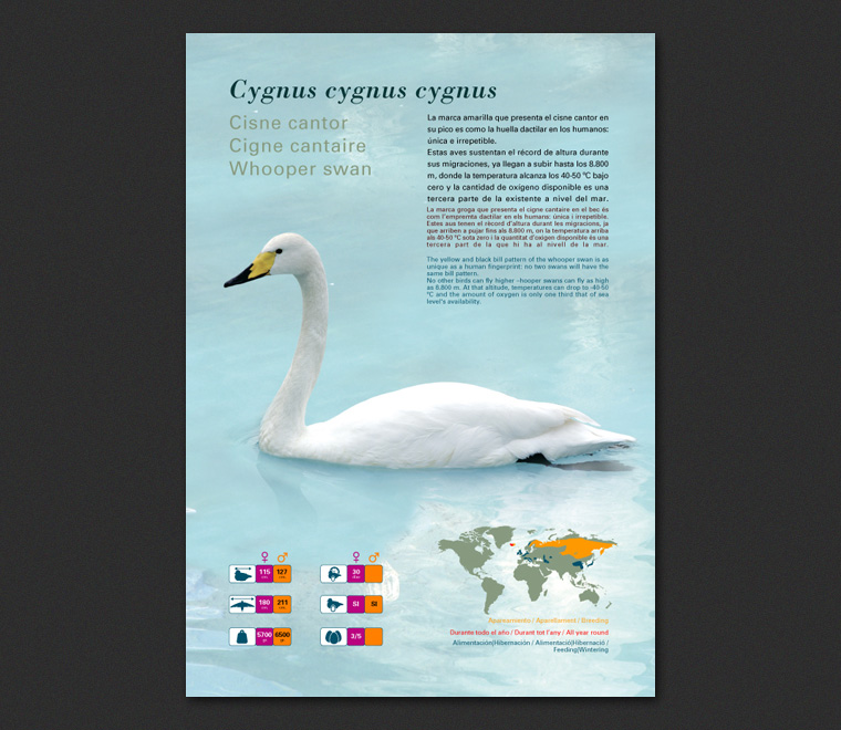 Fichas Especies L'Oceanogràfic