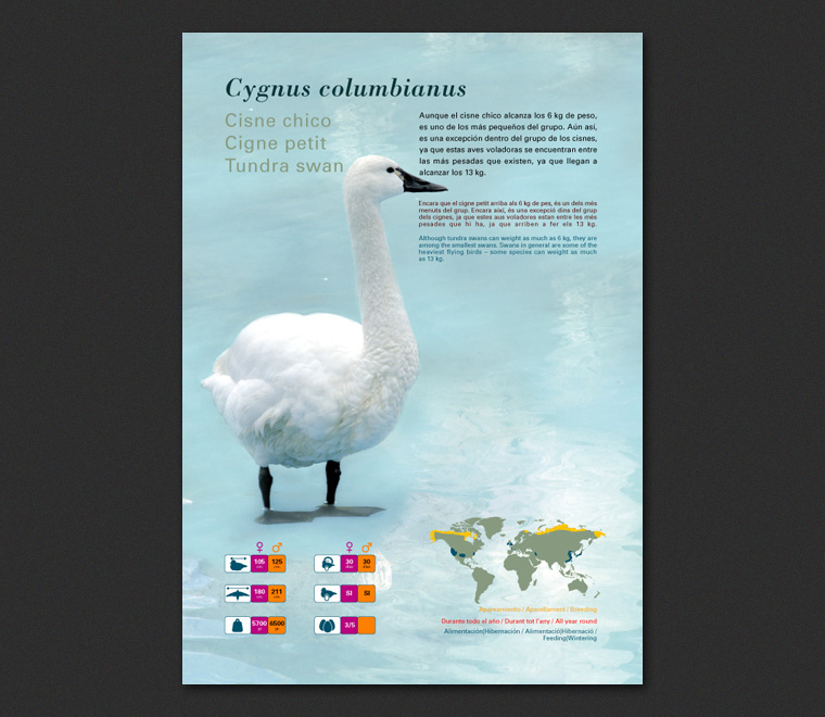 Fichas Especies L'Oceanogràfic