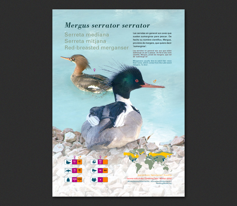 Fichas Especies L'Oceanogràfic