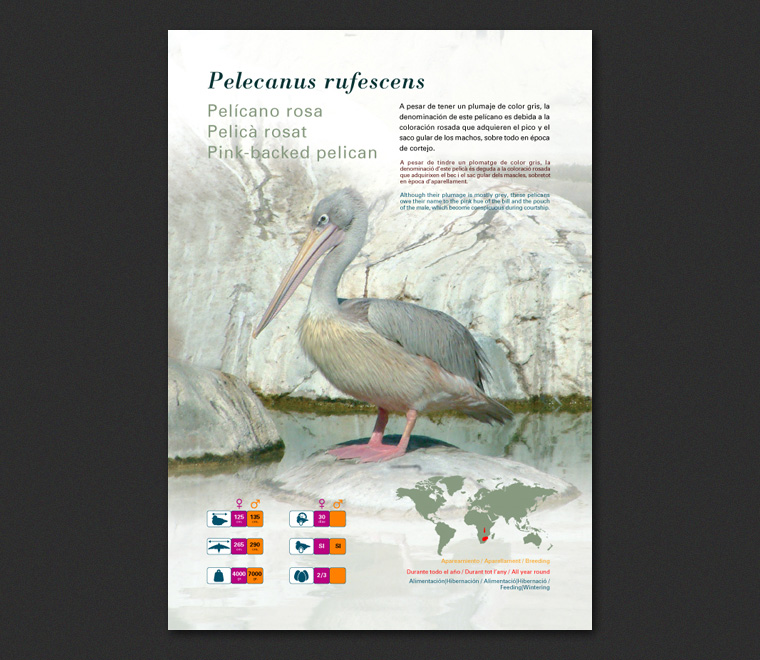 Fichas Especies L'Oceanogràfic