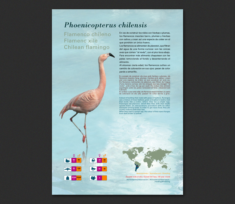 Fichas Especies L'Oceanogràfic