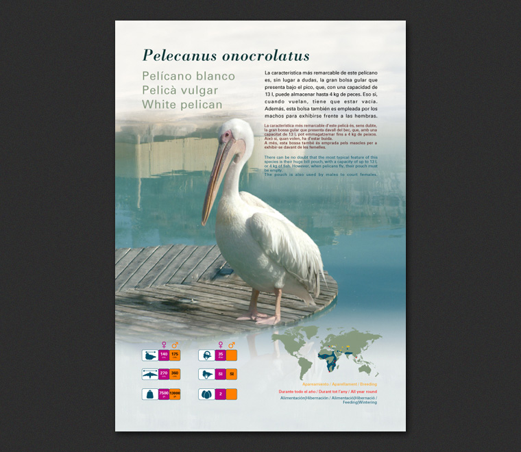 Fichas Especies L'Oceanogràfic