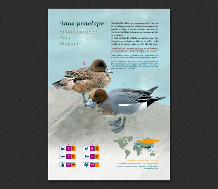 Fichas Especies L'Oceanogràfic