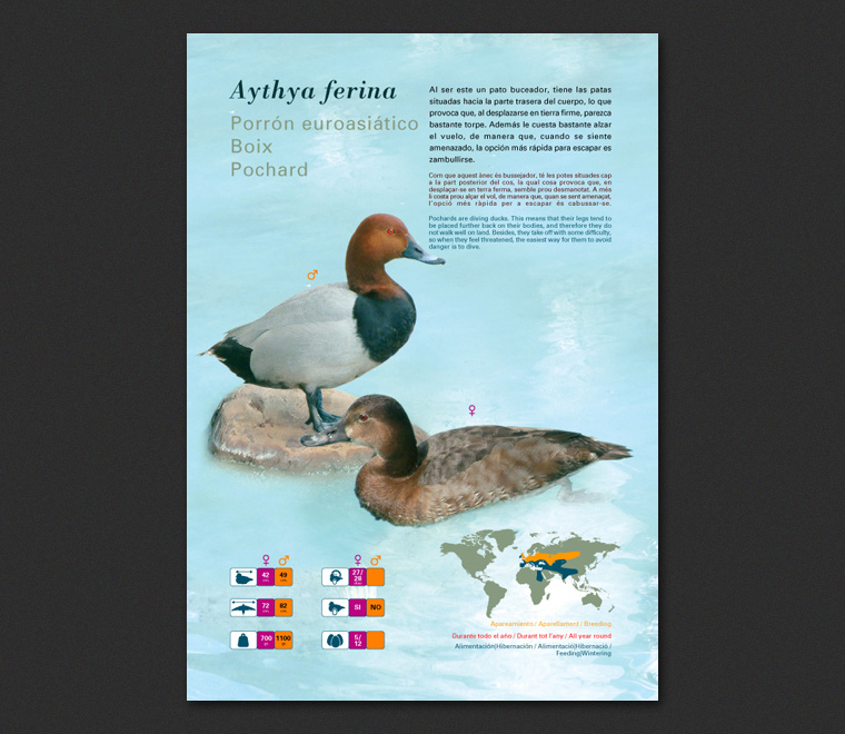 Fichas Especies L'Oceanogràfic