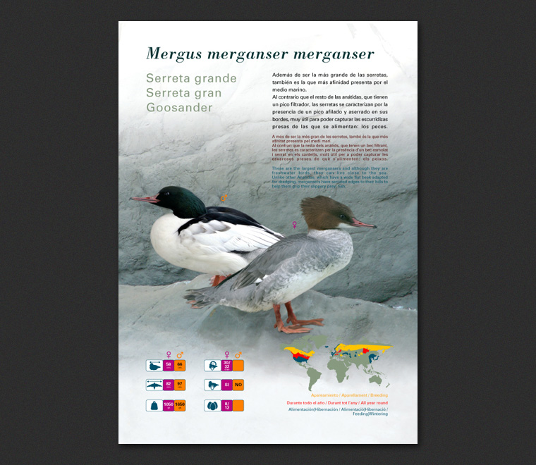 Fichas Especies L'Oceanogràfic