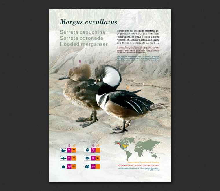 Fichas Especies L'Oceanogràfic