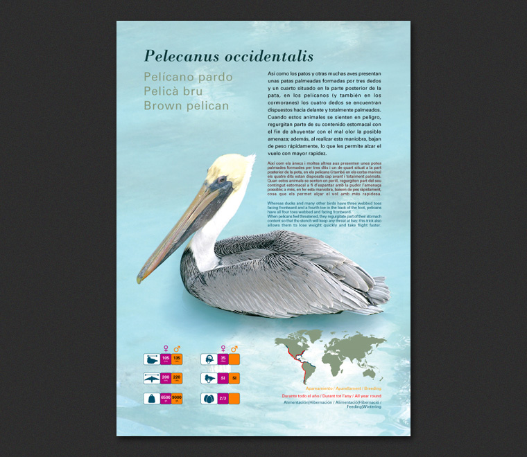 Fichas Especies L'Oceanogràfic