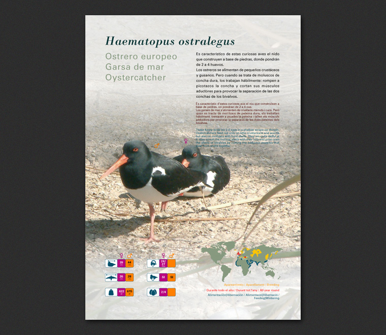 Fichas Especies L'Oceanogràfic