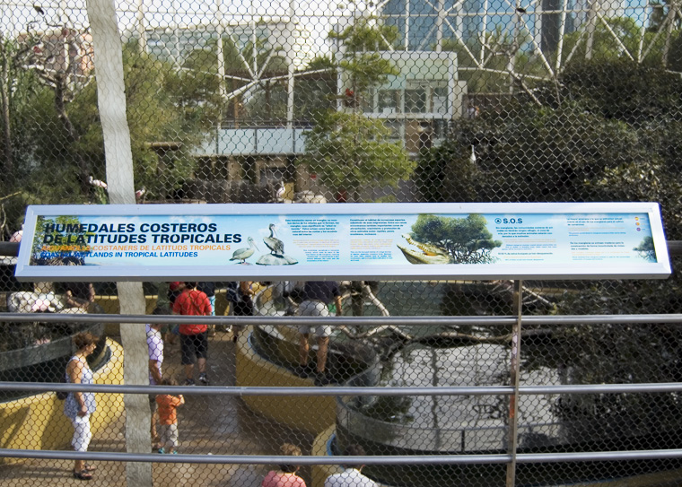 Infografías Humedales. L'Oceanogràfic. Manglar.