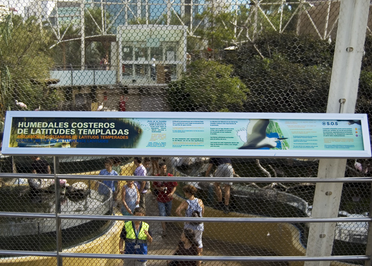 Infografías Humedales. L'Oceanogràfic. Marjal.