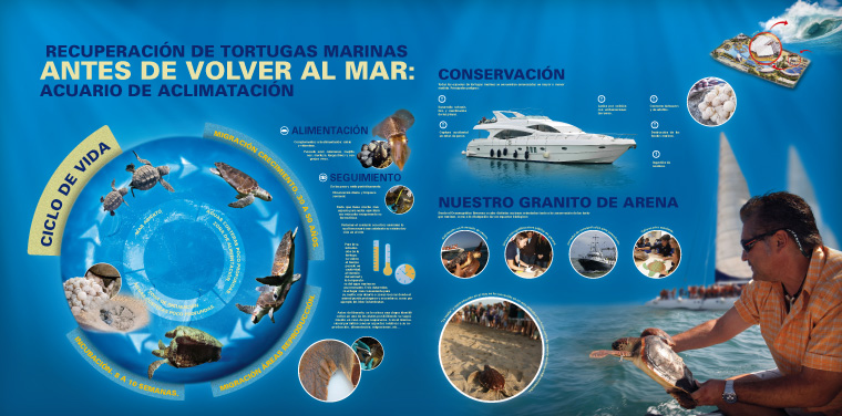 Infografías Tortugas L'Oceanogràfic