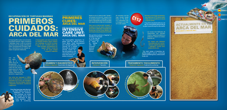 Infografías Tortugas L'Oceanogràfic