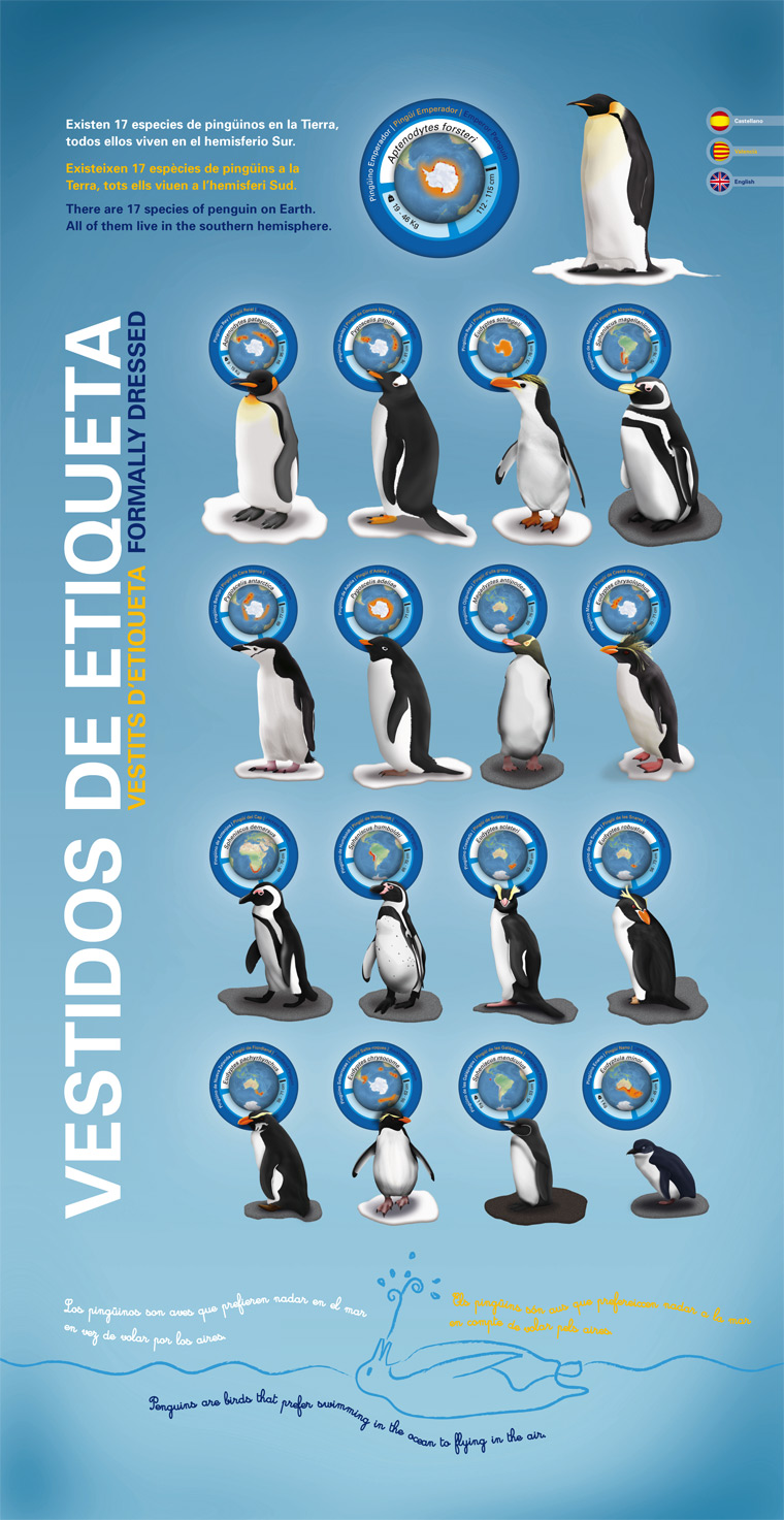 Vestidos de etiqueta. Especies de pingüinos. L'Oceanogràfic.